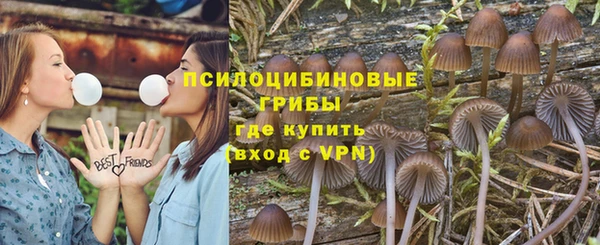 мдпв Костерёво