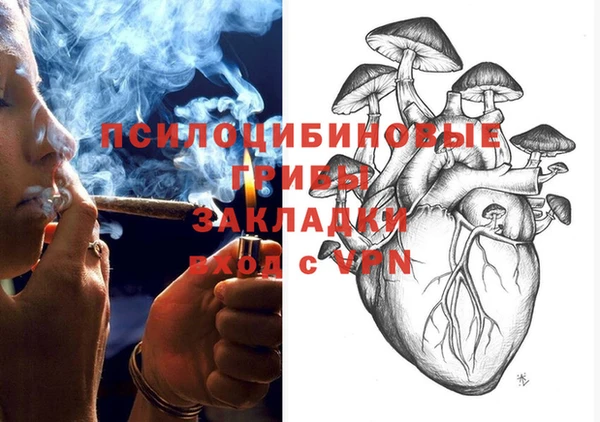 PSILOCYBIN Корсаков