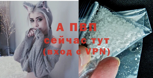 PSILOCYBIN Корсаков
