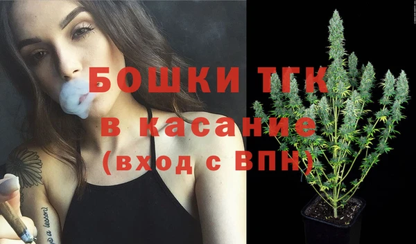 PSILOCYBIN Корсаков