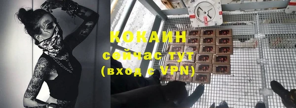 мдпв Костерёво